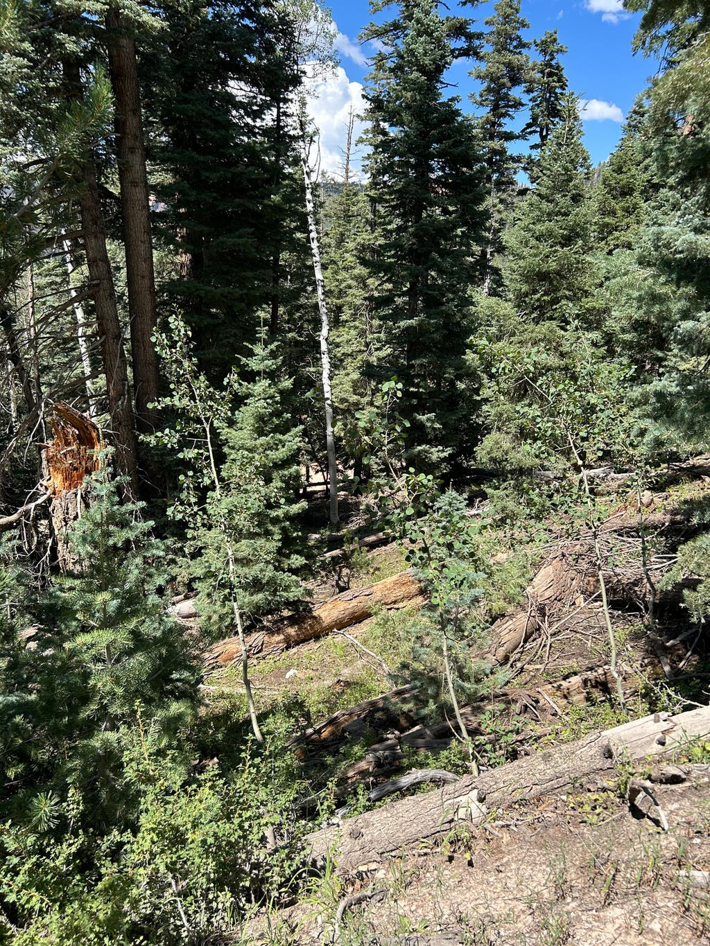 Photo of 6410 W KODIAK DR #12, Duck Creek Village, UT 84762 (MLS # 2174760)