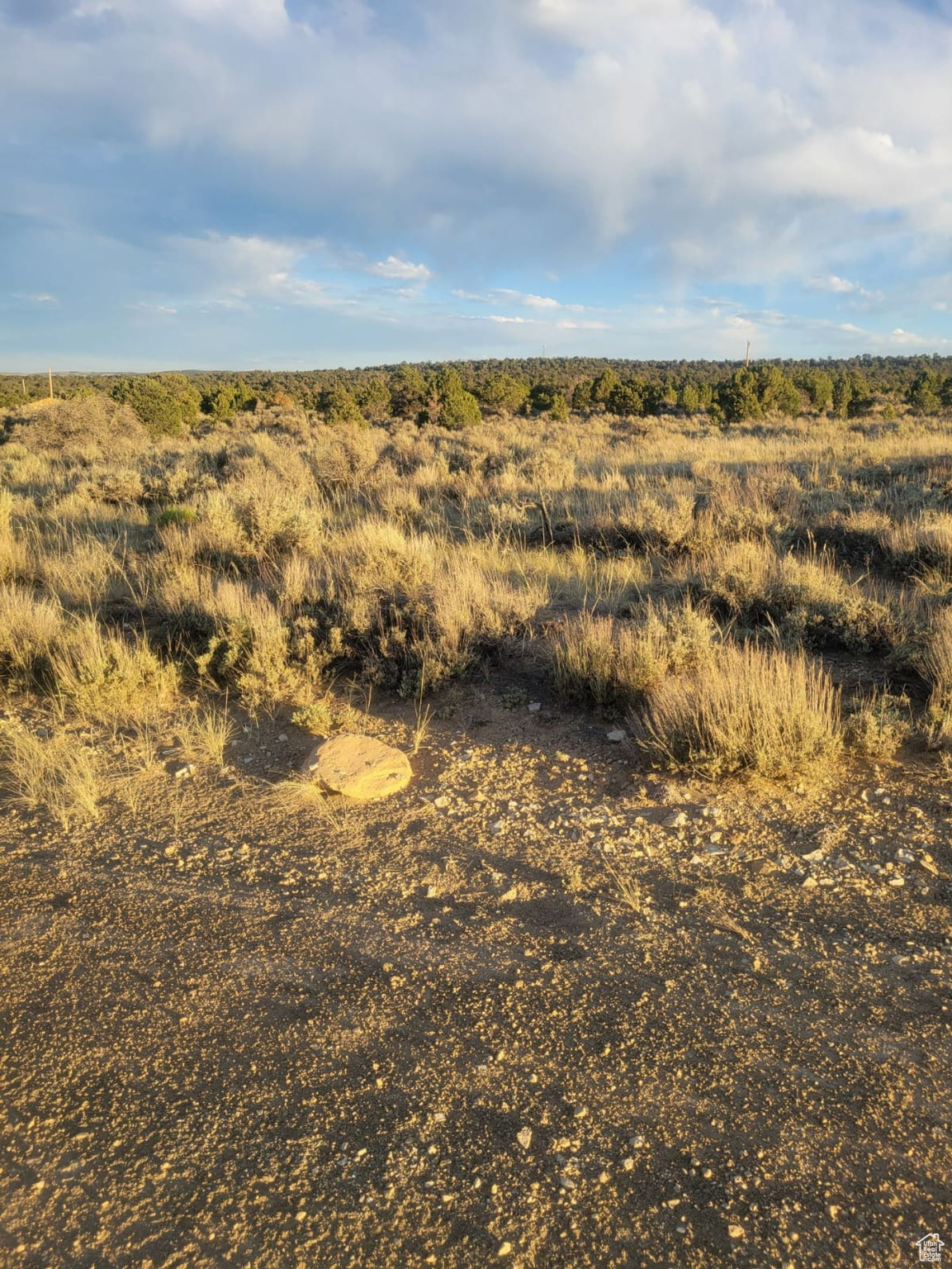 LAKE VIEW PINES - Land