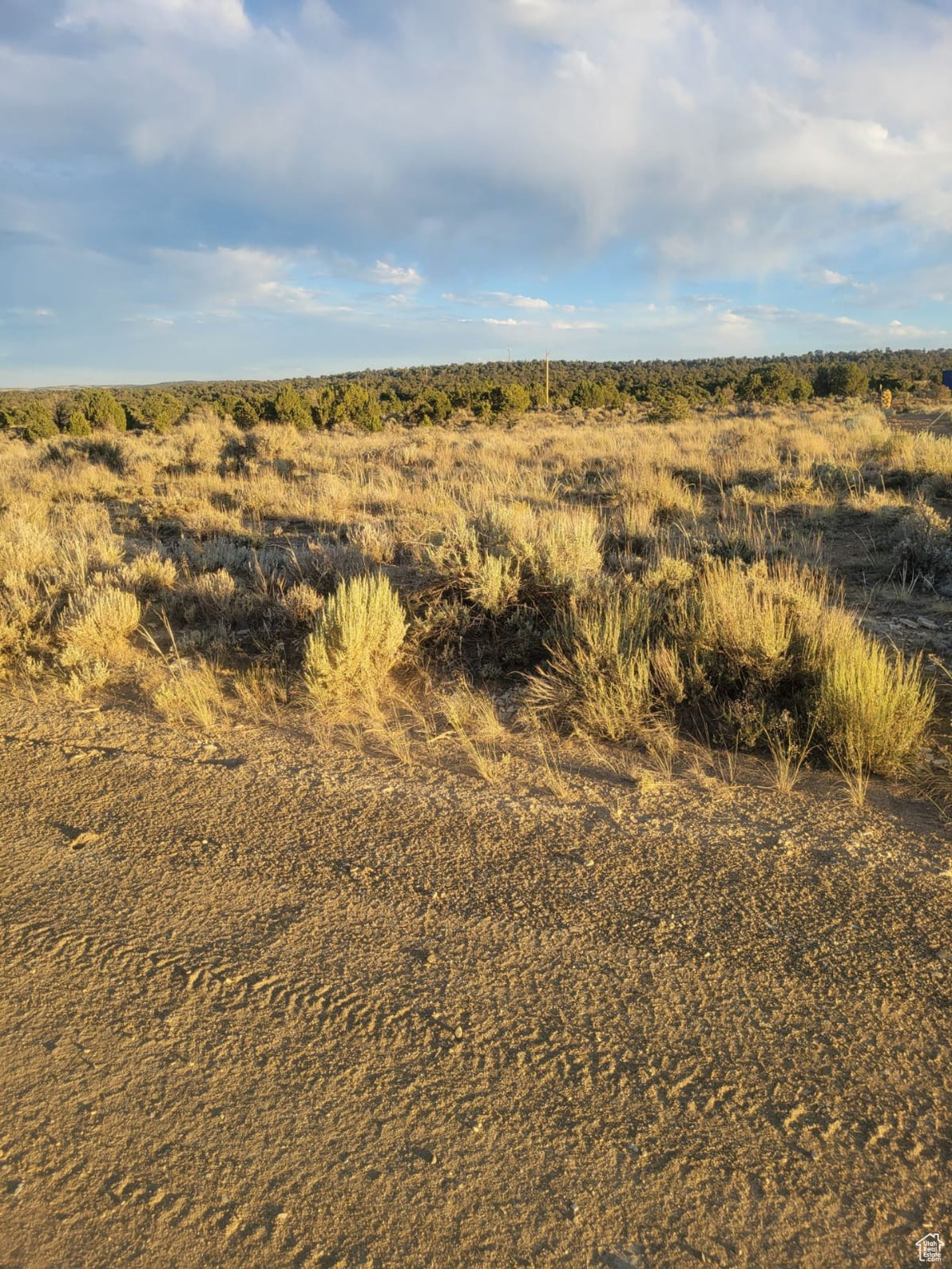 LAKE VIEW PINES - Land