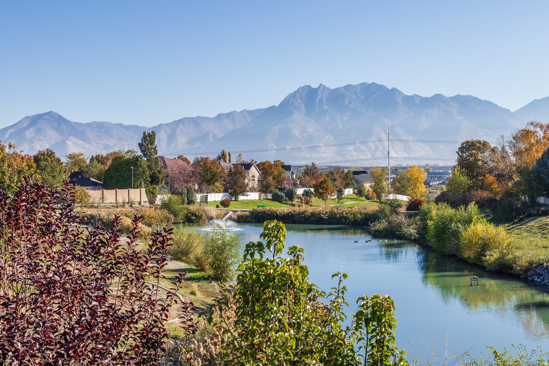 SPRING HOLLOW AT BATEMAN FARM - Residential