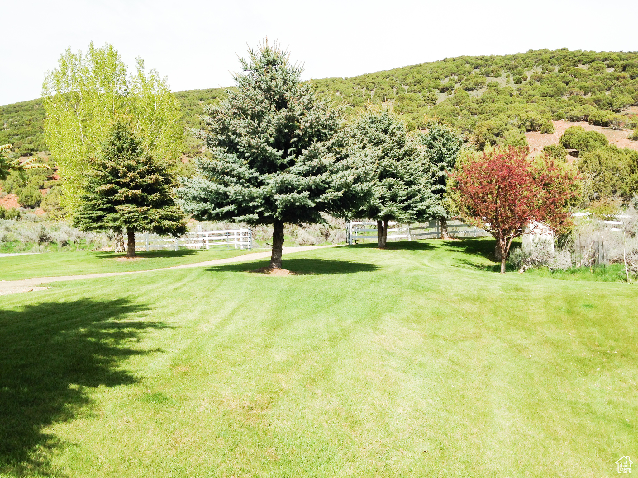 4475 N Eden Ln, Laketown, Utah image 9