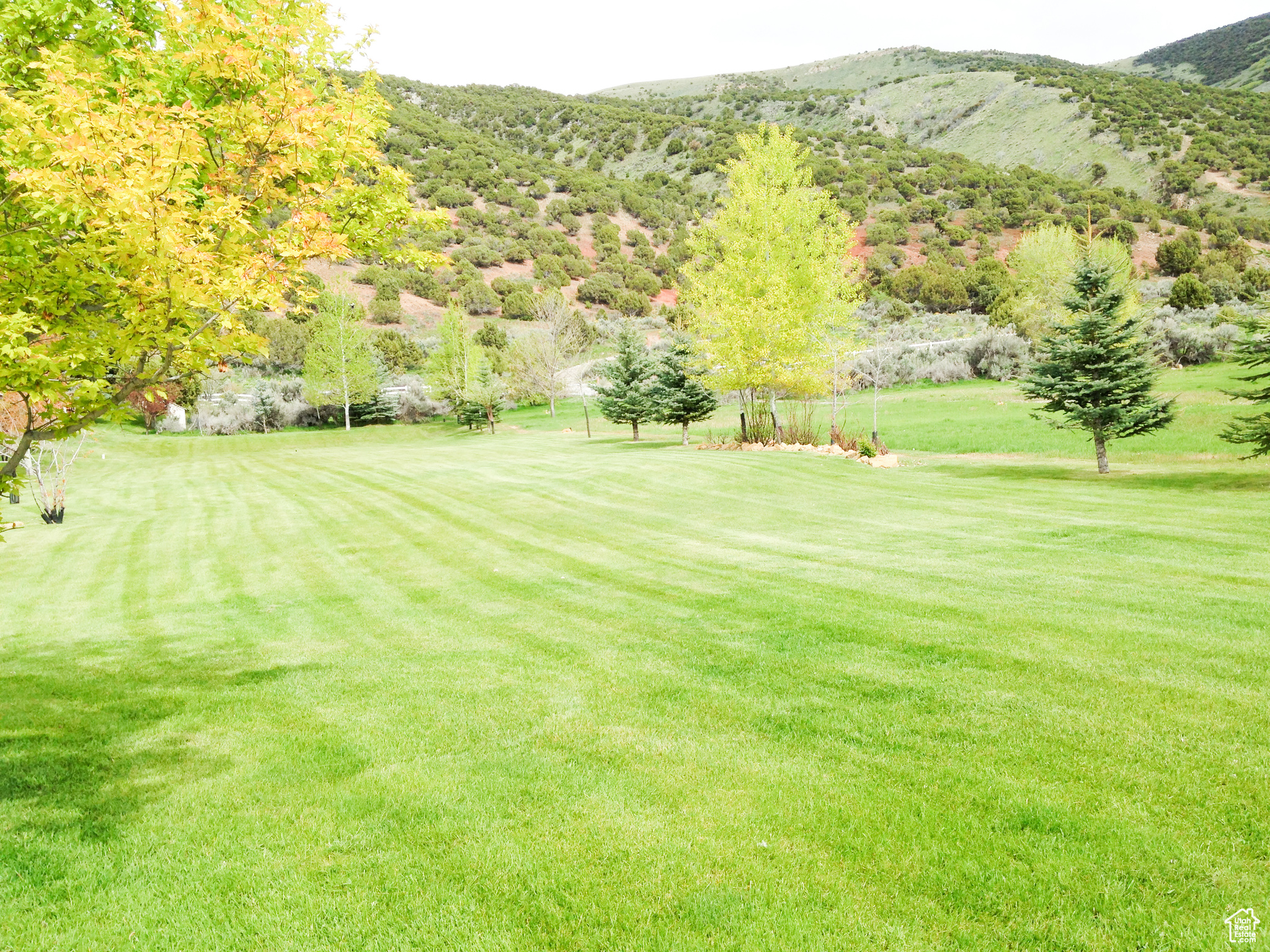 4475 N Eden Ln, Laketown, Utah image 4