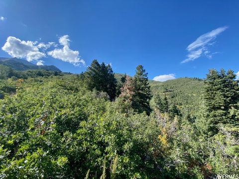 Tiny photo for 111 UPPER WHITTEMORE DR #111, Springville, UT 84663 (MLS # 1827536)