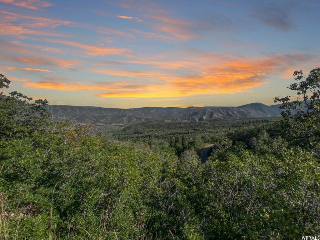 Photo for 111 UPPER WHITTEMORE DR #111, Springville, UT 84663 (MLS # 1827536)