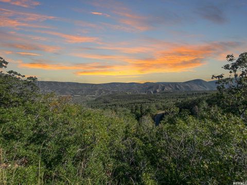 Tiny photo for 111 UPPER WHITTEMORE DR #111, Springville, UT 84663 (MLS # 1827536)