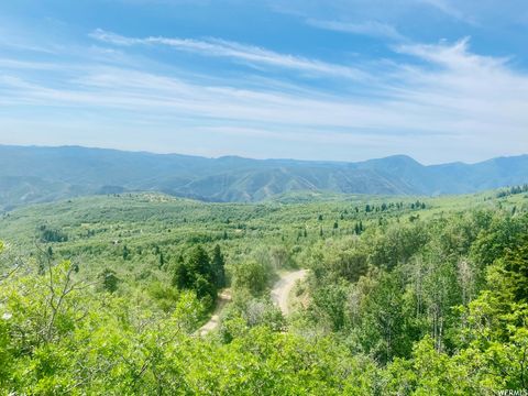 Tiny photo for 111 UPPER WHITTEMORE DR #111, Springville, UT 84663 (MLS # 1827536)