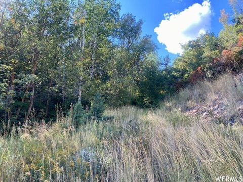 Tiny photo for 111 UPPER WHITTEMORE DR #111, Springville, UT 84663 (MLS # 1827536)