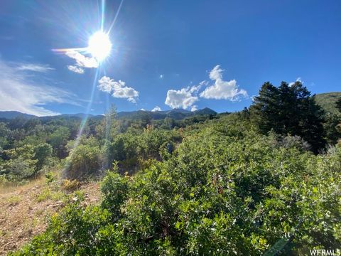 Tiny photo for 111 UPPER WHITTEMORE DR #111, Springville, UT 84663 (MLS # 1827536)