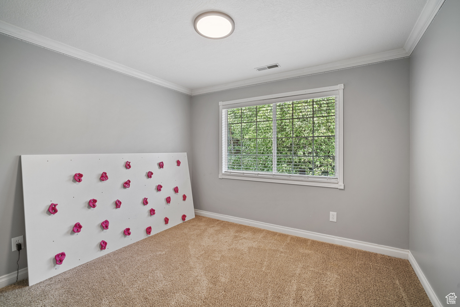 98 N Eliason Ave, Brigham City, Utah image 28