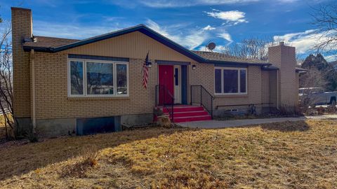 Homes For Sale - 290 E State Road 29<br/> Orangeville, UT 84537