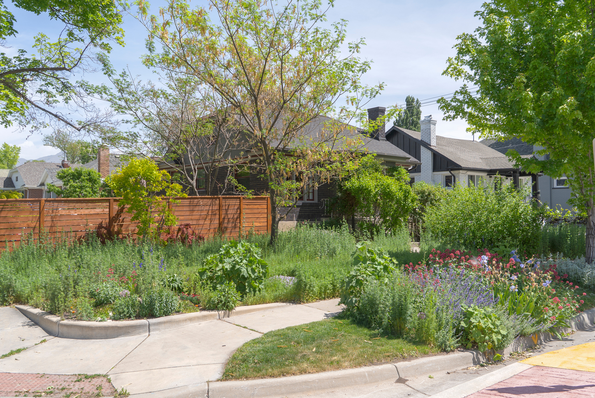 CHELSEA ADD - Residential