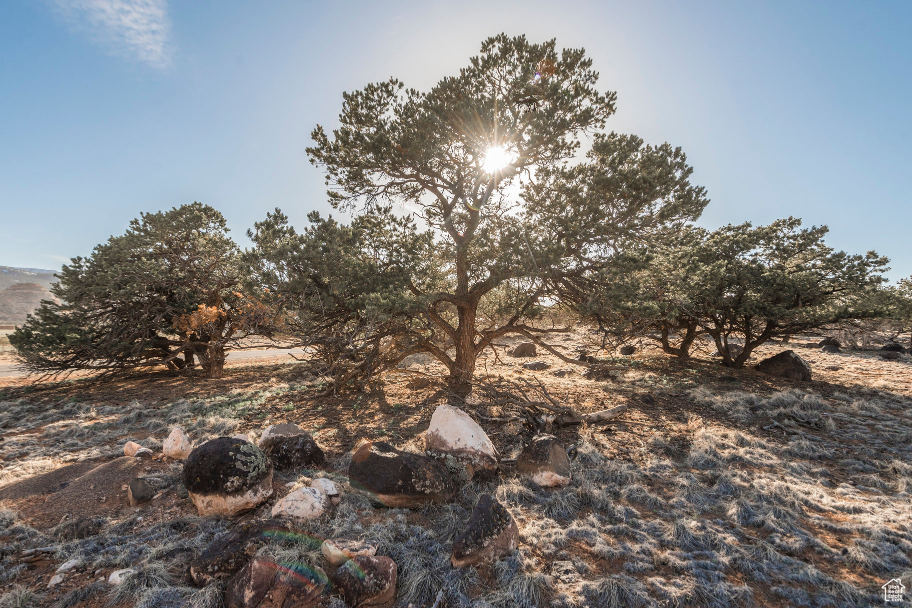 Land, Torrey, Utah image 3