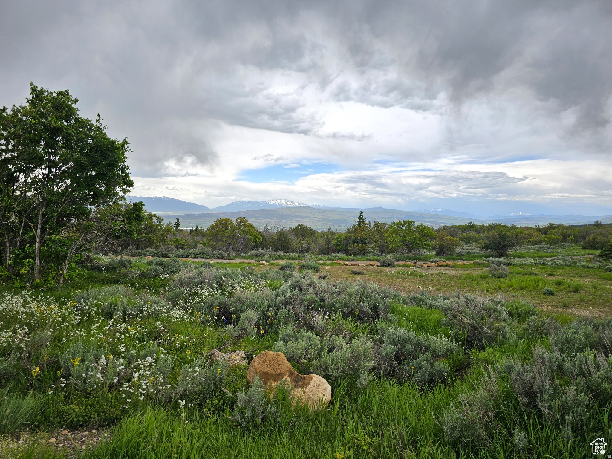 SKYLINE ACRES - Land