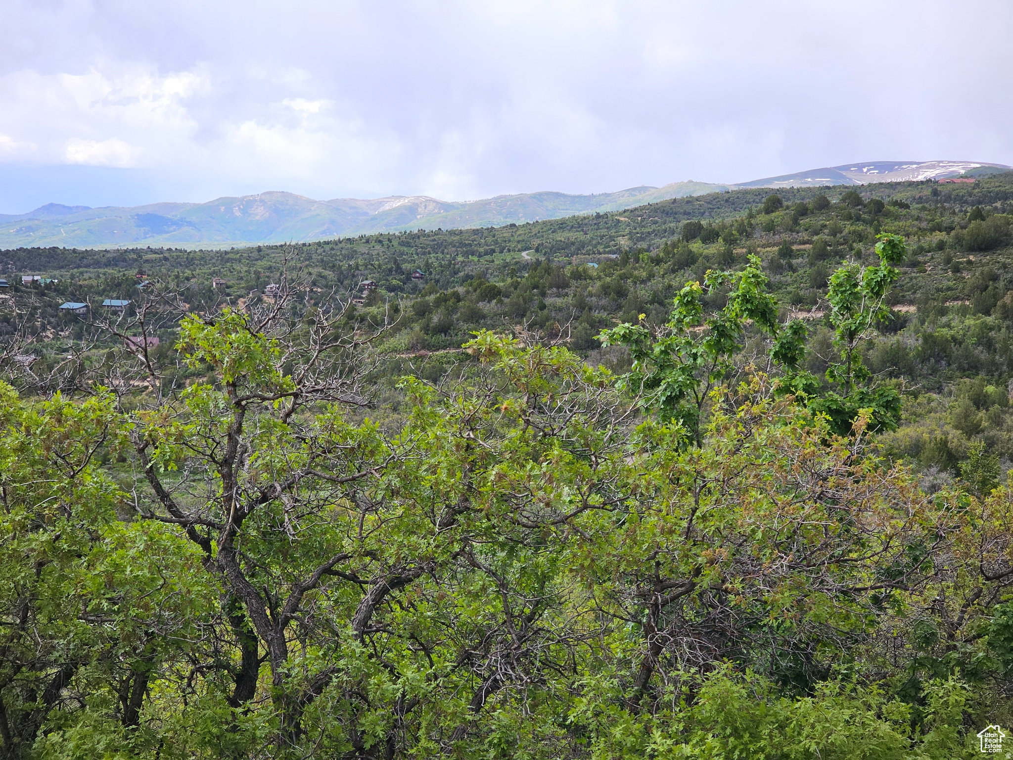 SKYLINE ACRES - Land