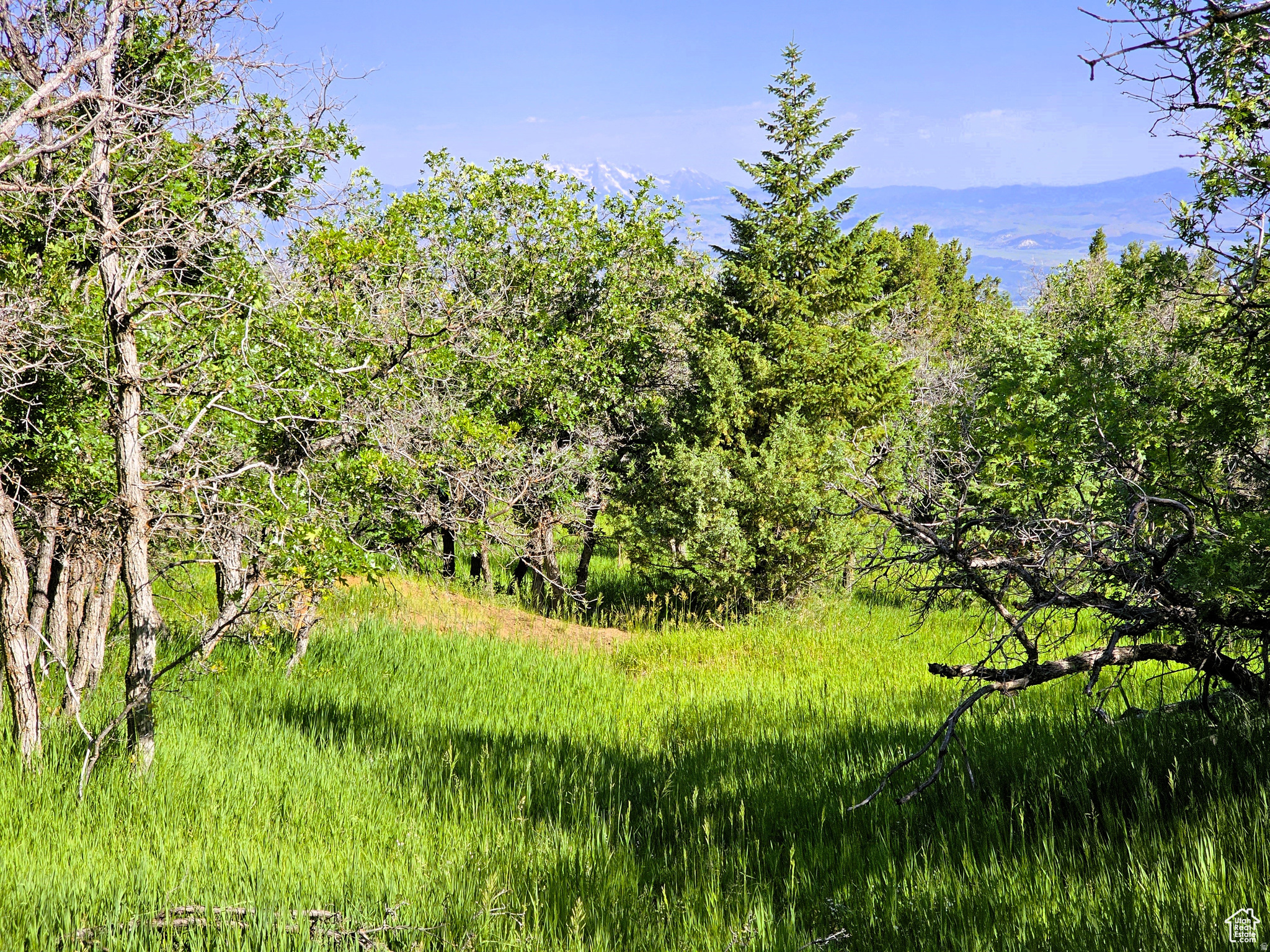 SKYLINE ACRES - Land