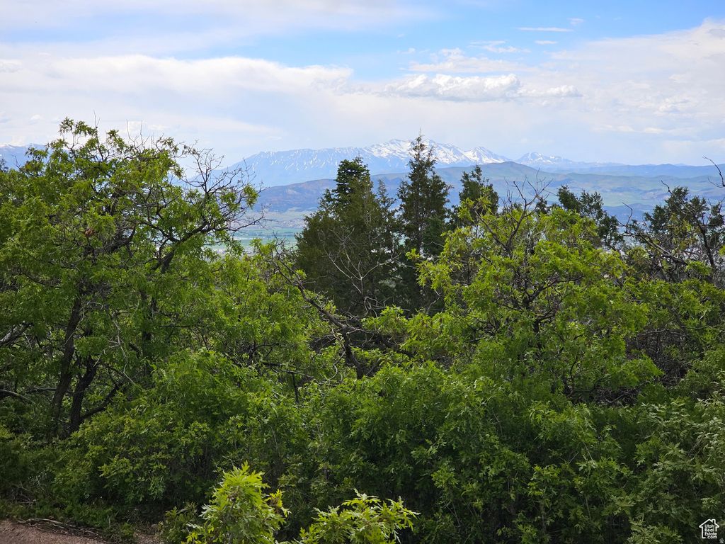 Photo of 2 WHISPERING PINES RD #2, Mt Pleasant, UT 84647 (MLS # 2147466)