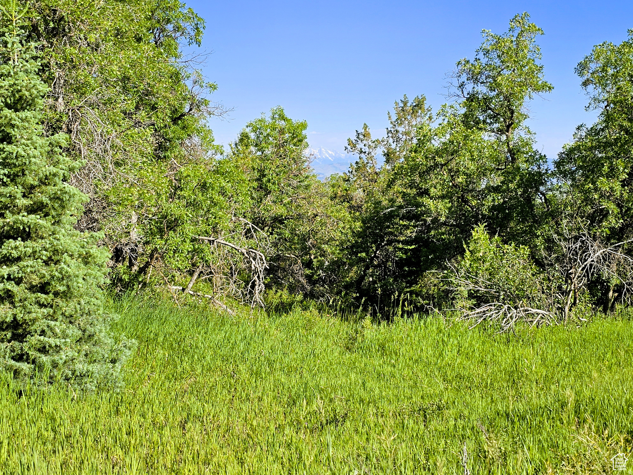 SKYLINE ACRES - Land