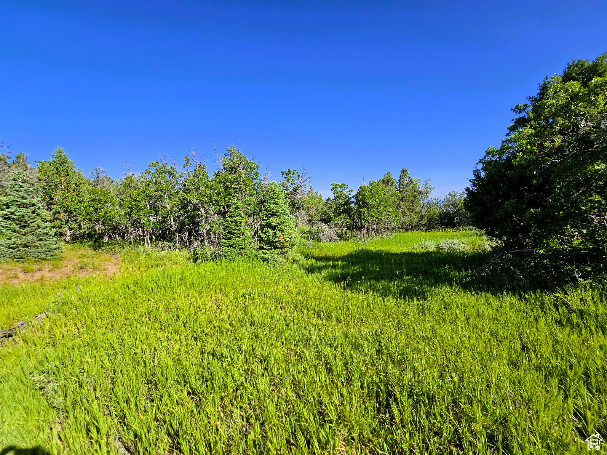 SKYLINE ACRES - Land