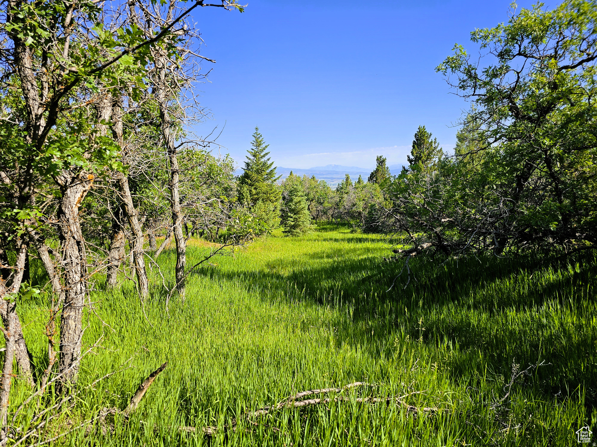 SKYLINE ACRES - Land