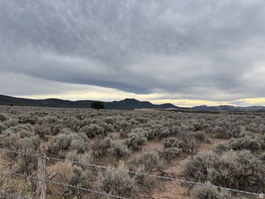 Escape to your own 80-acre sanctuary with a brand-new perimeter fence that surrounds the entire property for security and easy livestock management. This expansive parcel offers panoramic, awe-inspiring views and prime wildlife viewing opportunities-perfect for nature lovers, hunters, or anyone seeking a private outdoor retreat. With multiple elevated building sites, you can design a secluded estate, a ranch, or a recreation-friendly haven that blends seamlessly with the natural landscape. Space, privacy, and striking scenery come together in this rare offering.