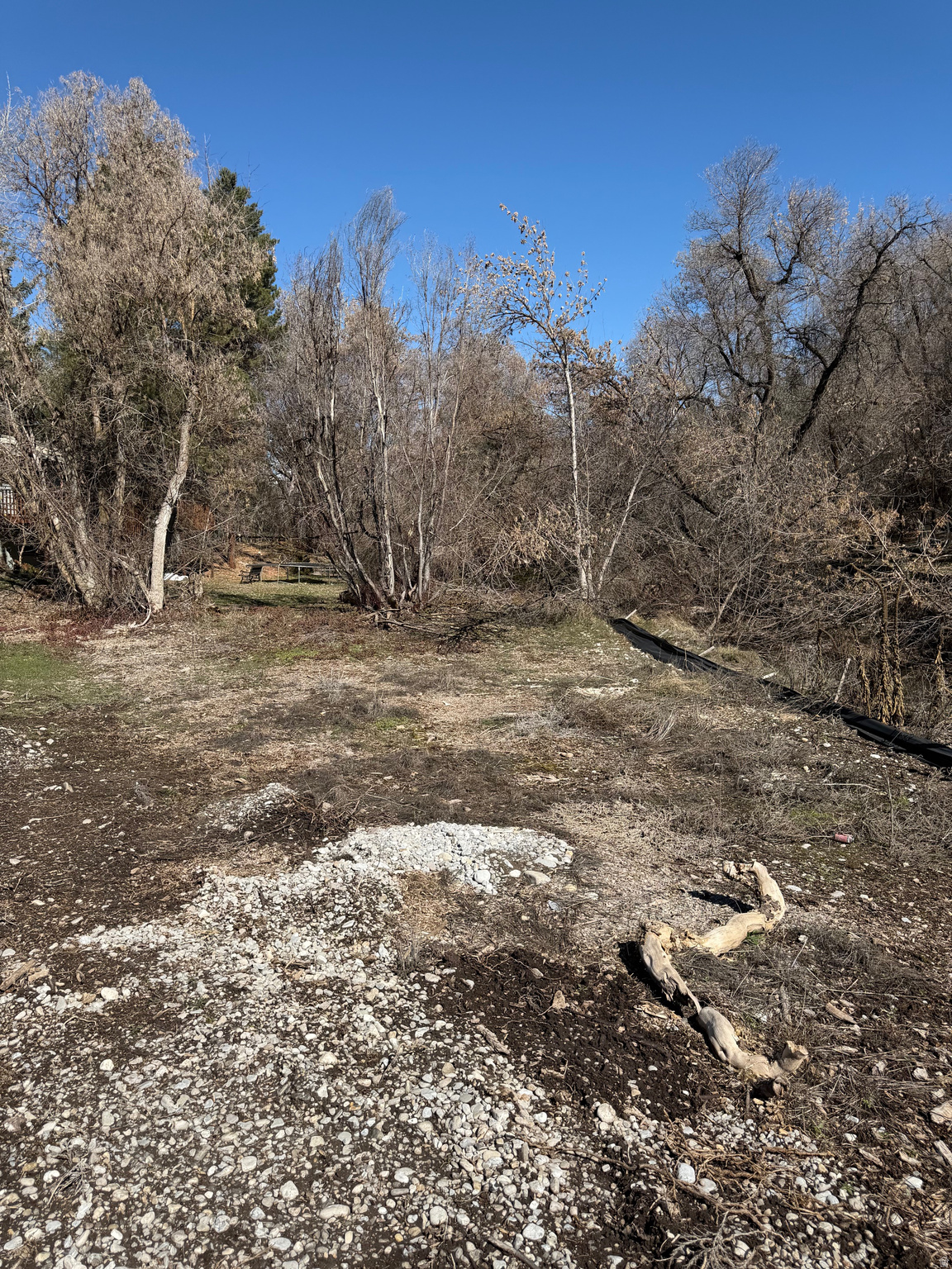 RAYLEEN ACRES - Land