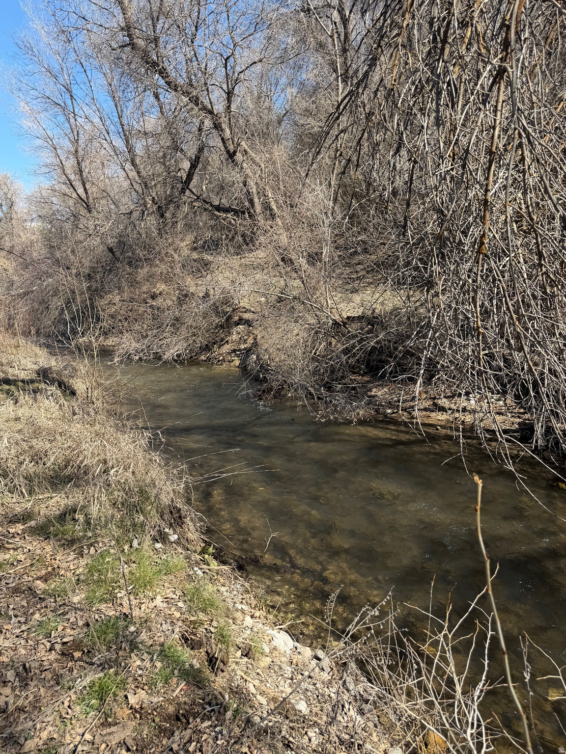 RAYLEEN ACRES - Land