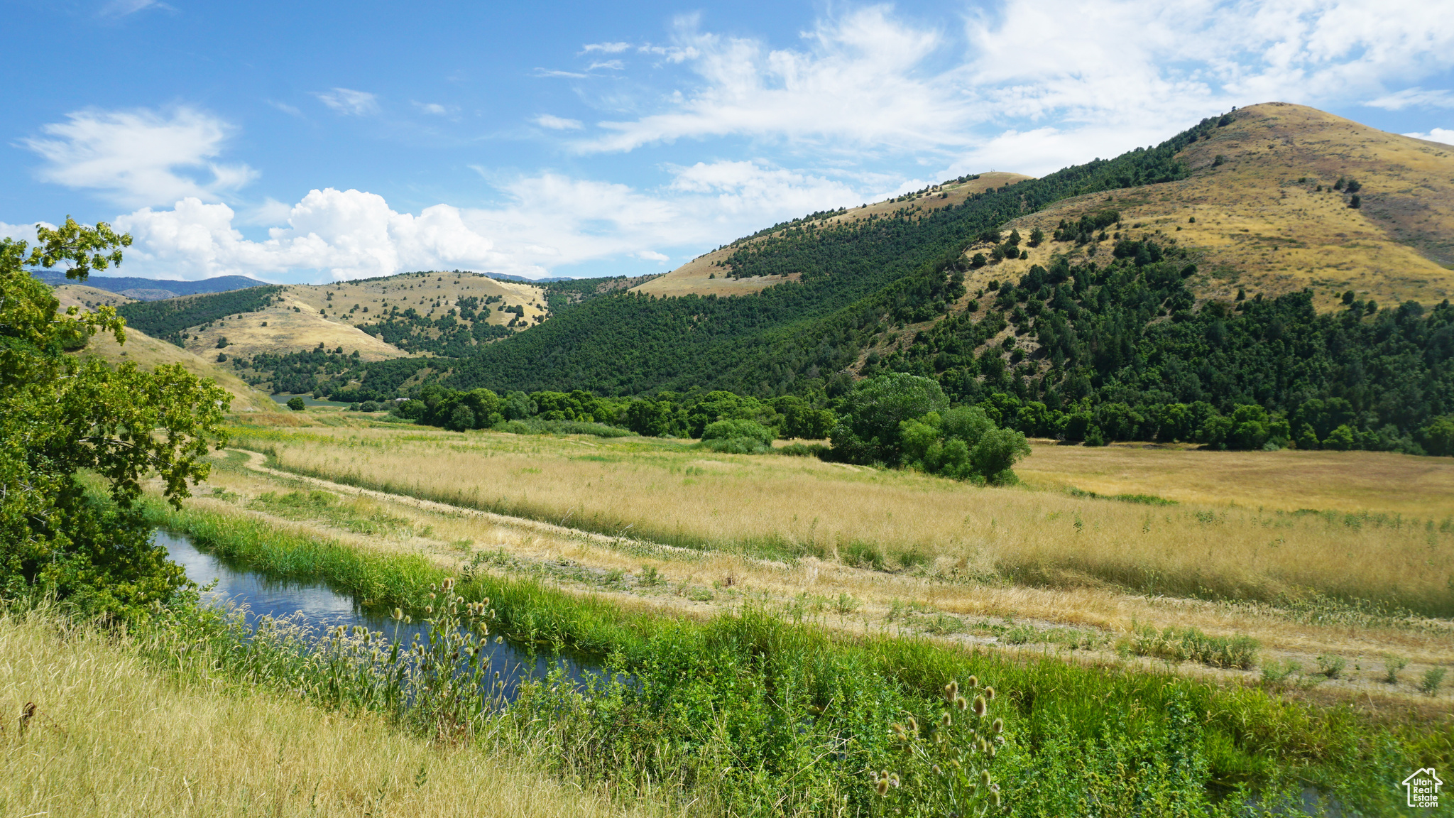 Land, Preston, Idaho image 15