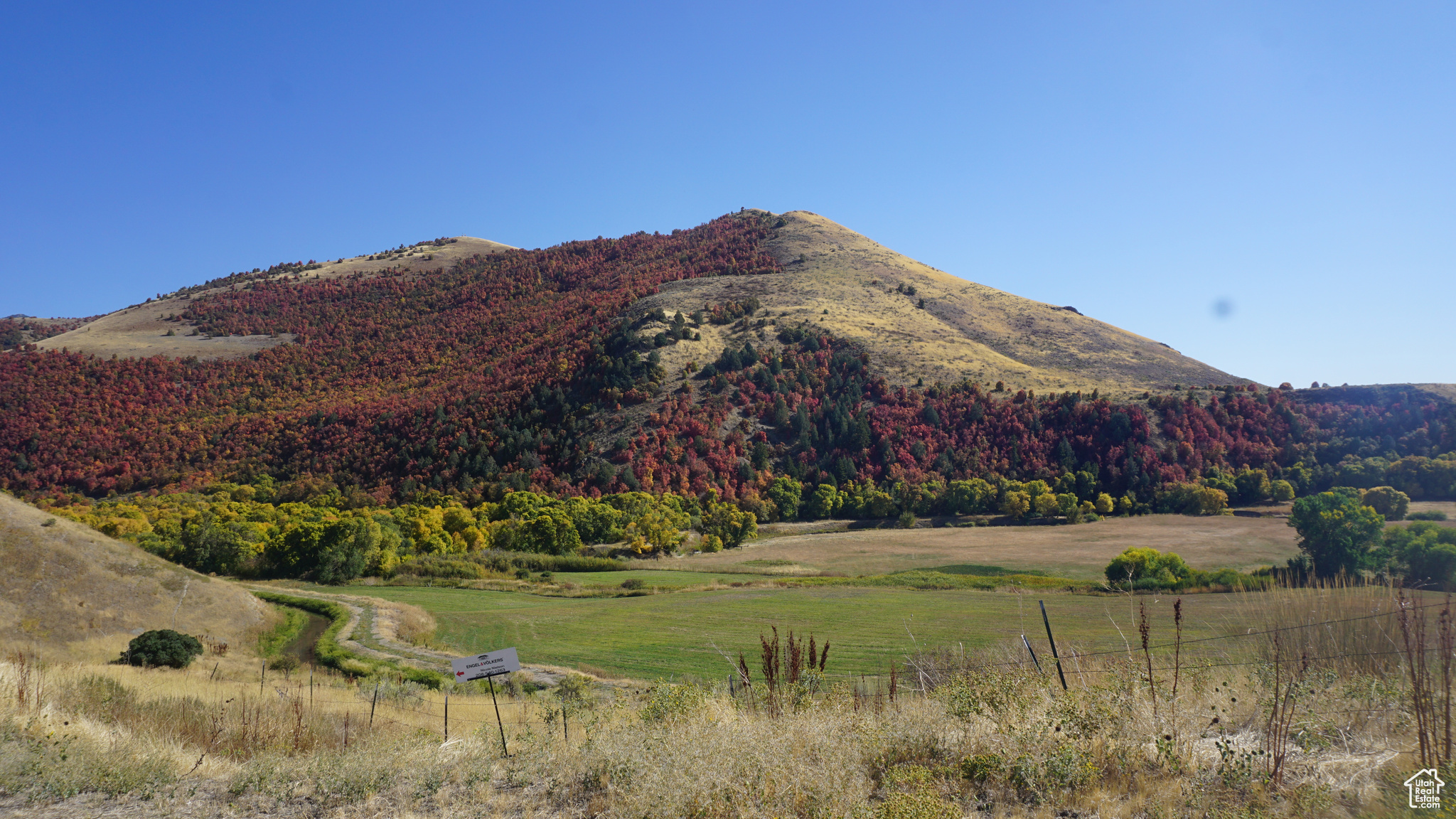 Land, Preston, Idaho image 30