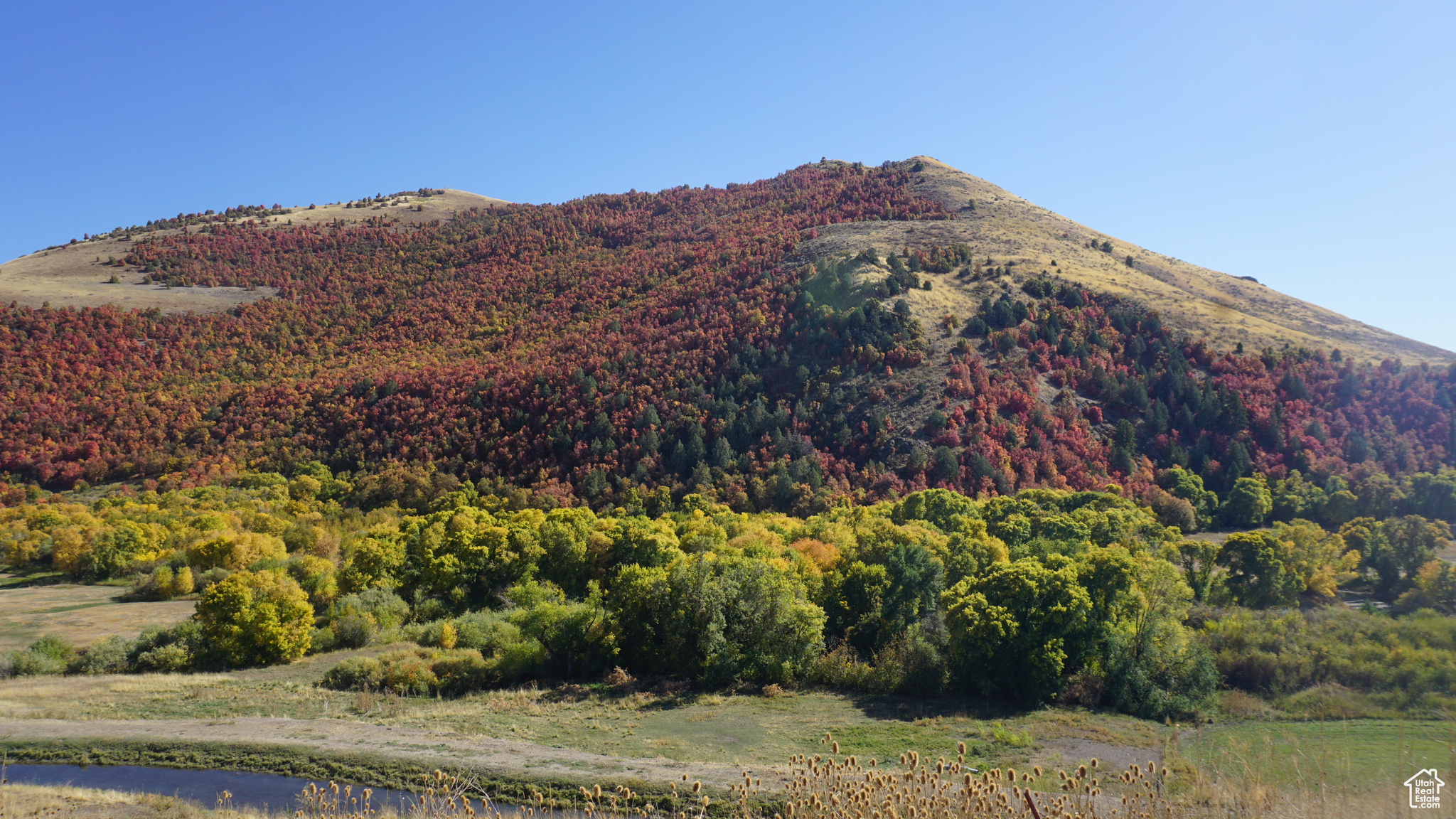 Land, Preston, Idaho image 29