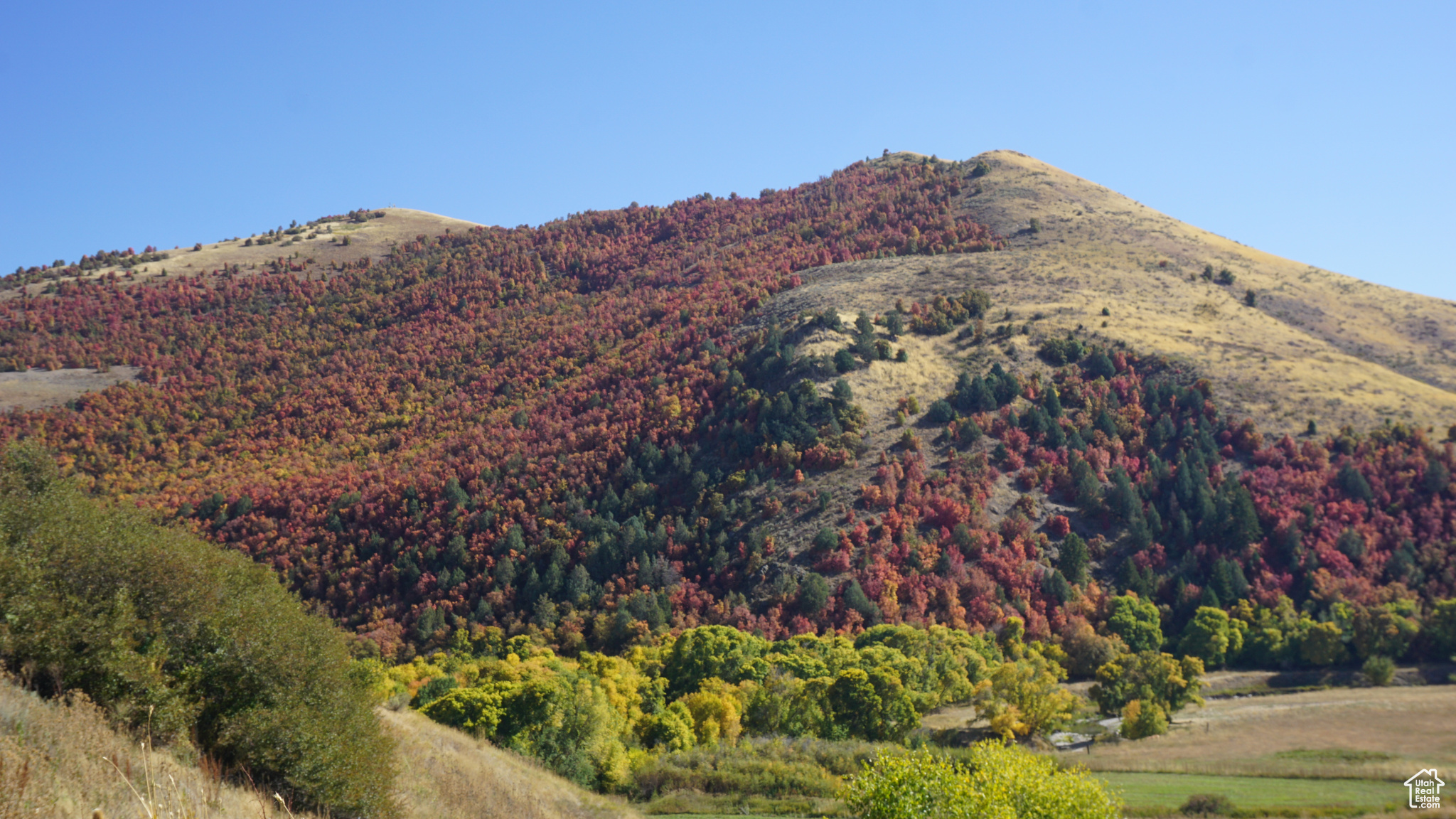 Land, Preston, Idaho image 2