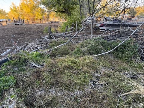 Tiny photo for 26 W MAIN ST, Goshen, UT 84633 (MLS # 2033297)