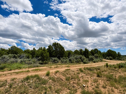 Tiny photo for 347 E NORTH OLD RD, Monticello, UT 84535 (MLS # 2181155)