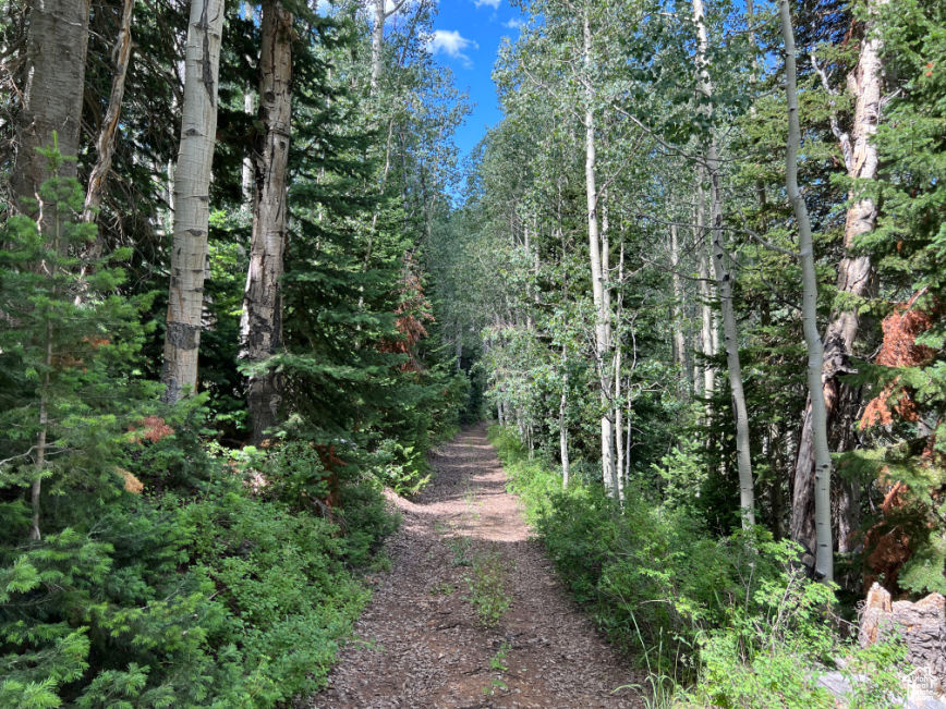 Land, Fairview, Utah image 3