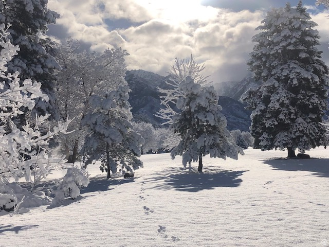 WILLOW CREEK - Residential