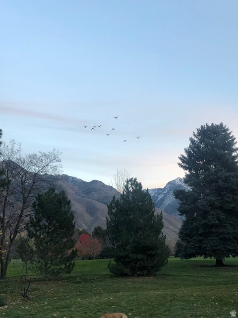 WILLOW CREEK - Residential