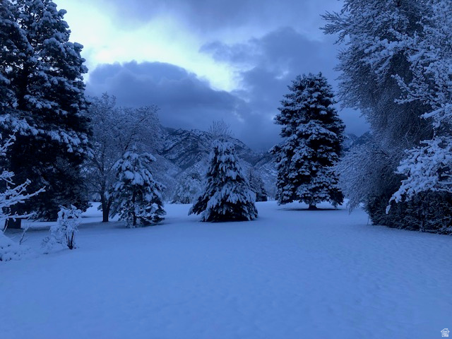 WILLOW CREEK - Residential