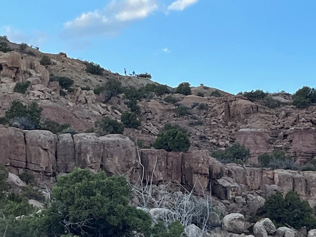 PH 3 UNIT 3 CEDAR VIEW - Land