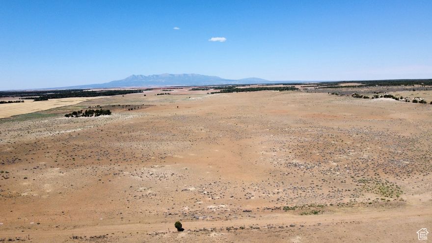 Expansive fully fenced agricultural grazing land with sweeping views of the surrounding mountain ranges including the Blues and La Sal Mountains in Utah and over to Lone Cone and down the San Juan and Sleeping Ute Mountains of Colorado. A current grazing lease is in place, or-subject to lease terms-you can run your own herd, develop a dry farm, or explore other agricultural uses. The property offers mostly cleared ground with gentle, rolling terrain and wildlife. Located in a general season deer and elk hunting unit, this land is ideal for those who value both income potential and recreation. Just minutes from the Colorado border, it offers easy access while maintaining the quiet seclusion of Southeastern Utah.