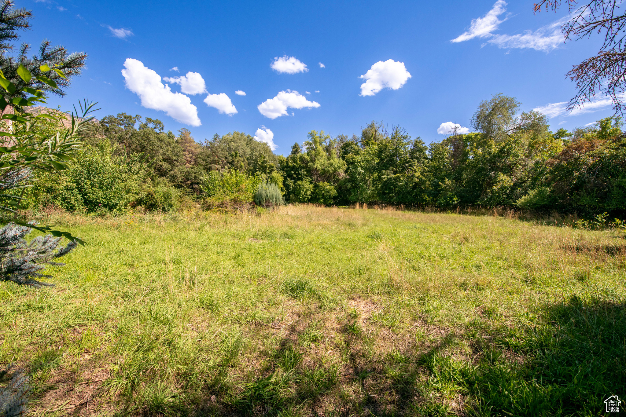 MOYLE PARK - Residential