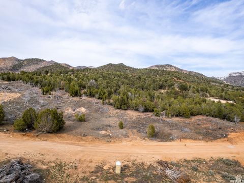 Tiny photo for 5458 COUGAR RUN, Birdseye, UT 84629 (MLS # 2116830)