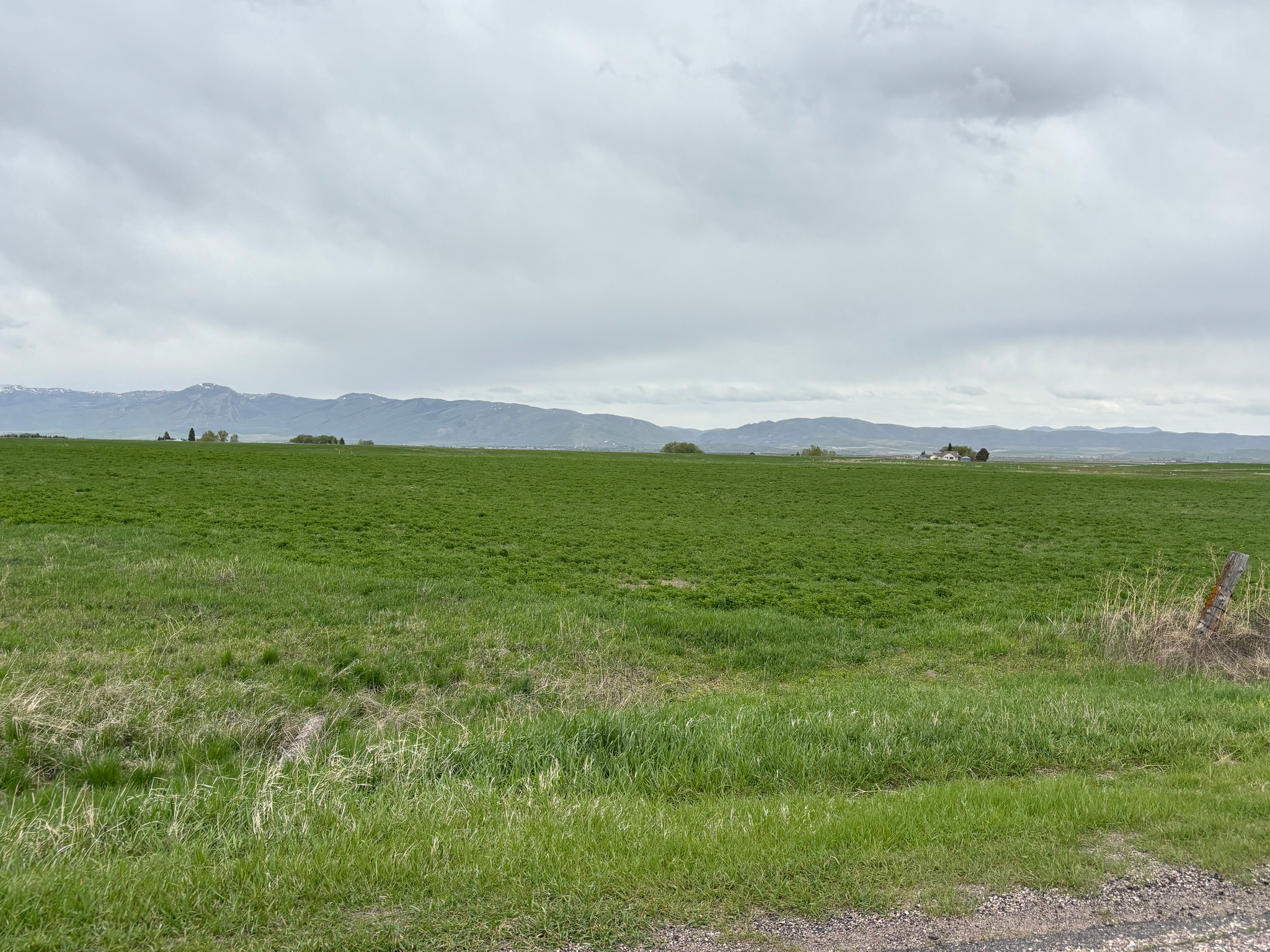 BAER ACRE FARMS - Land