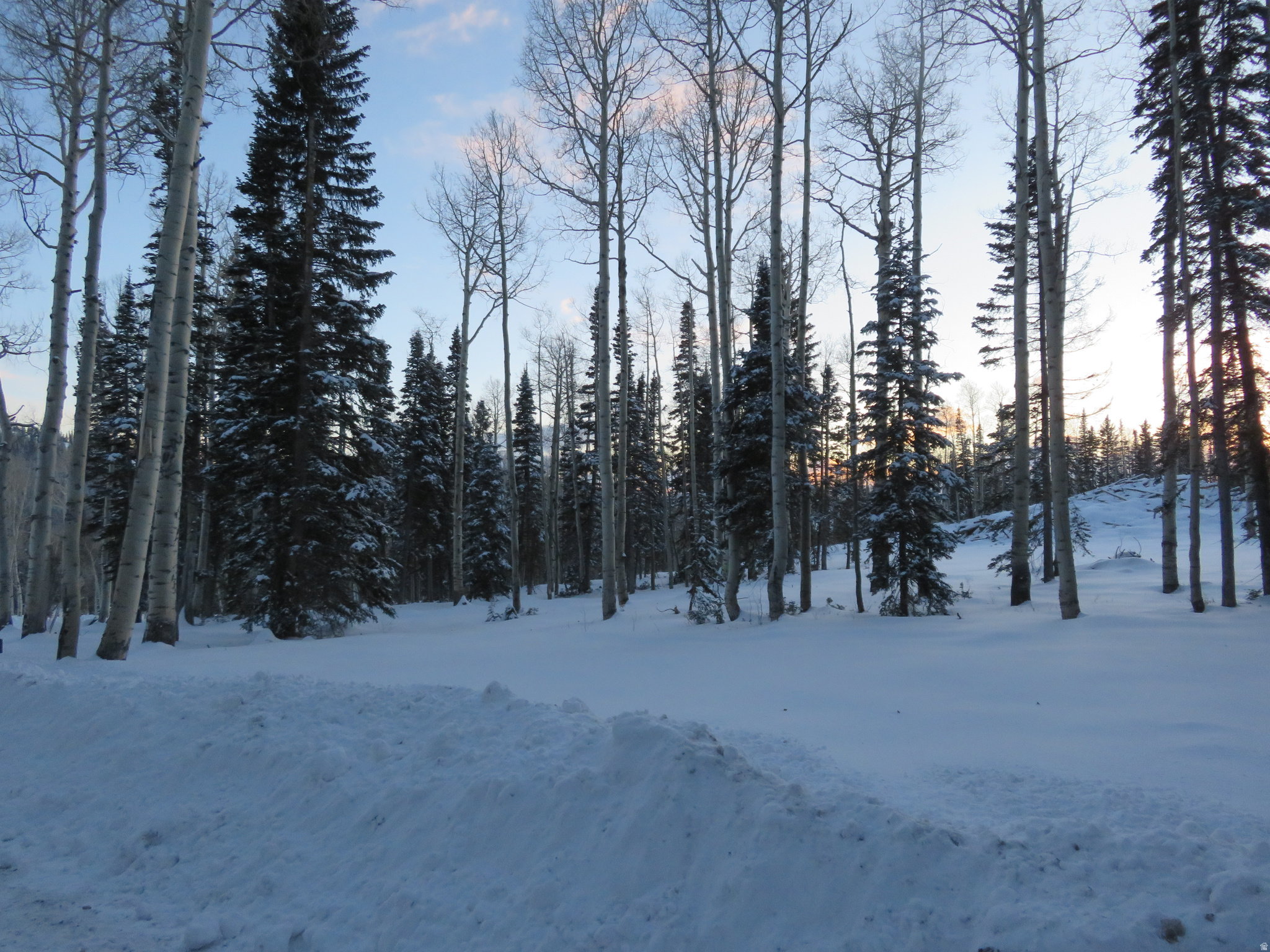 TUSHAR MOUNTAIN ESTATES - Land