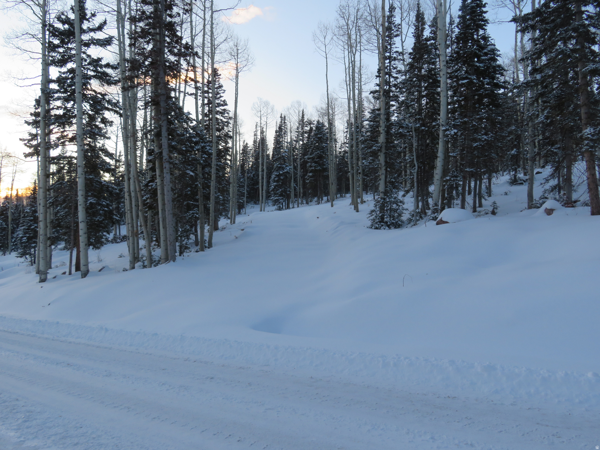 TUSHAR MOUNTAIN ESTATES - Land