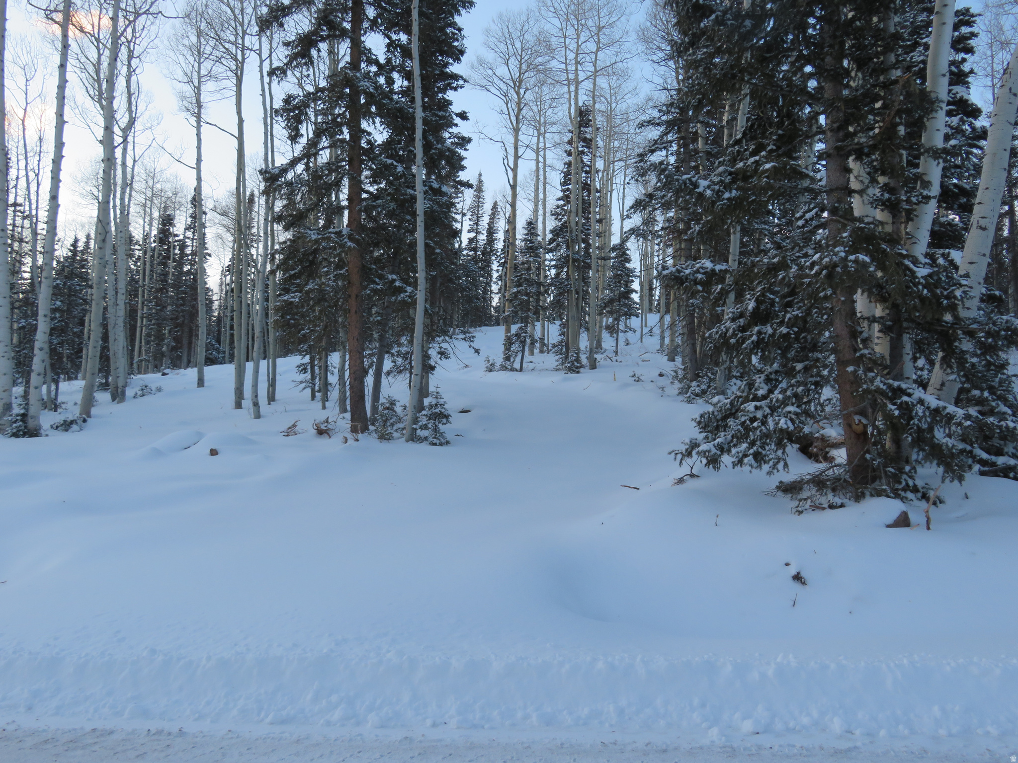 TUSHAR MOUNTAIN ESTATES - Land