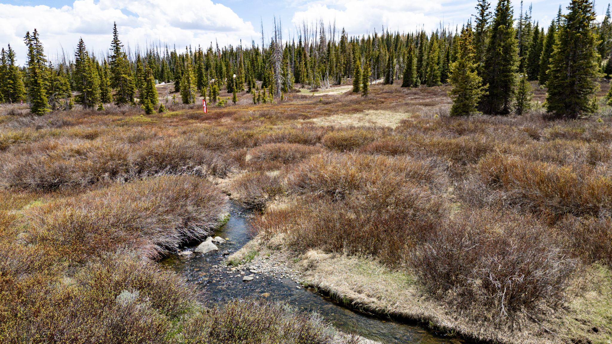 RAINBOW MEADOW RANCHOS - Land