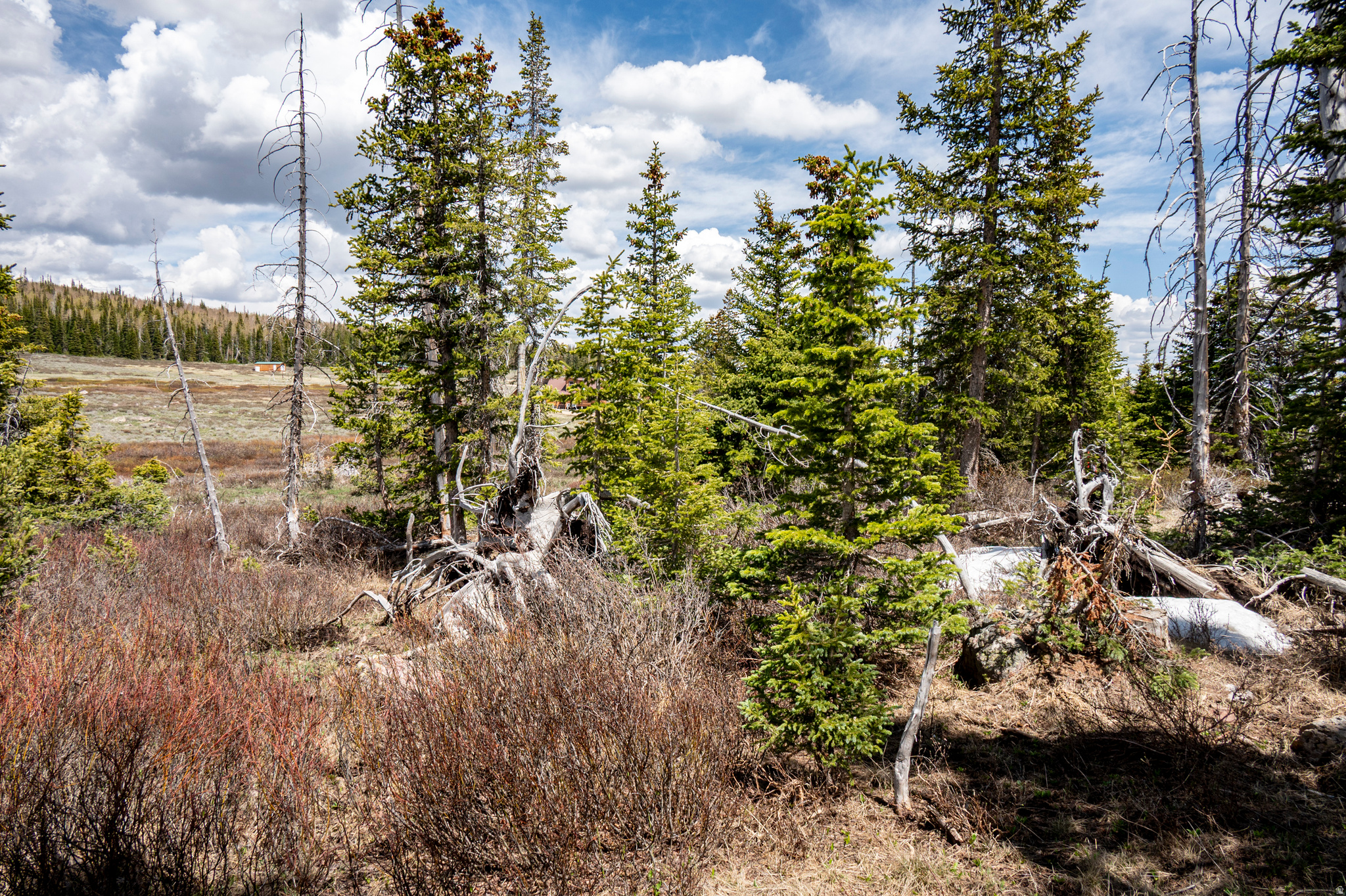 RAINBOW MEADOW RANCHOS - Land