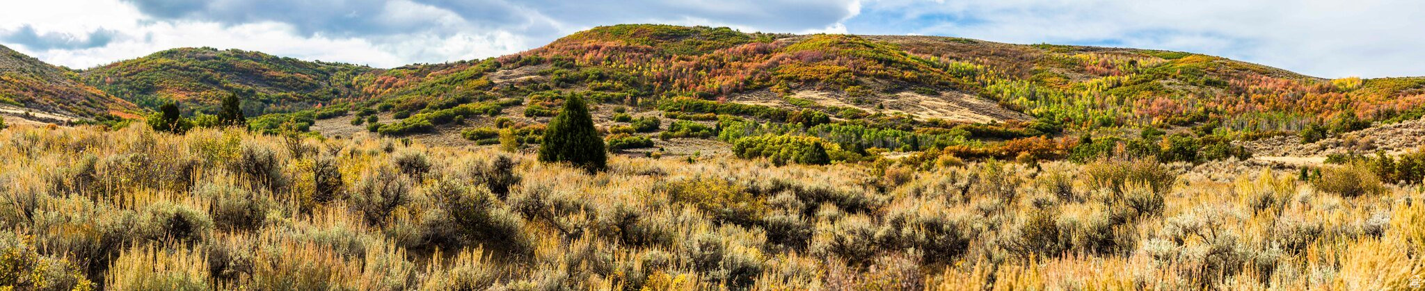 BENLOCH RANCH - Land