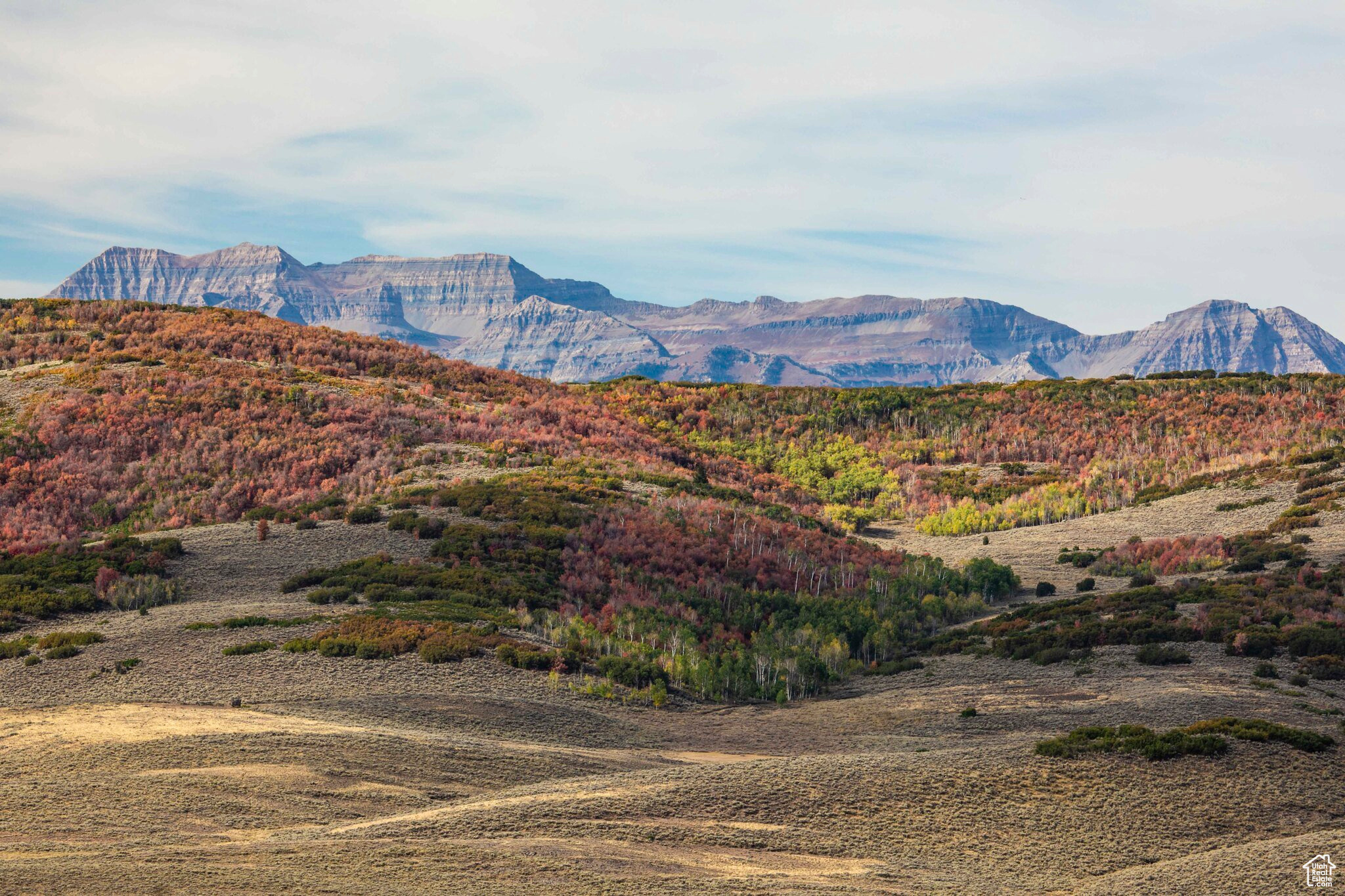 BENLOCH RANCH - Land