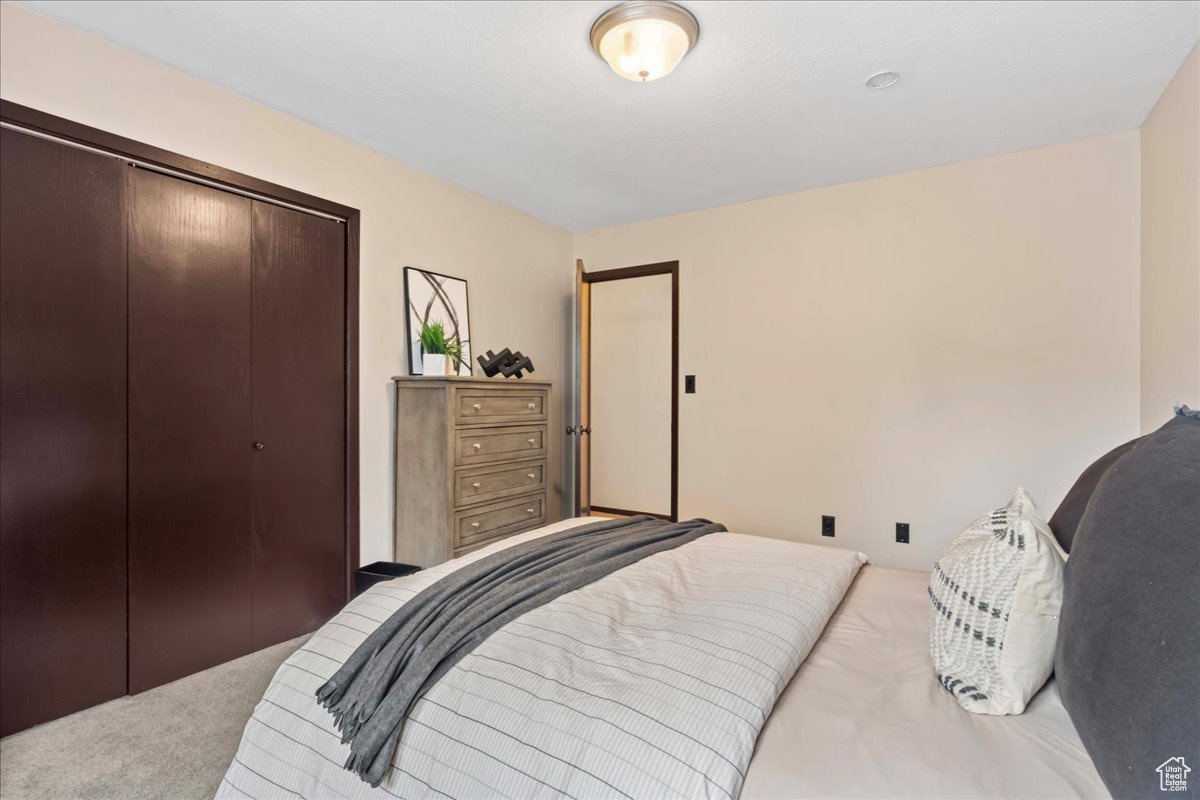LITTLE WILLOW - Residential