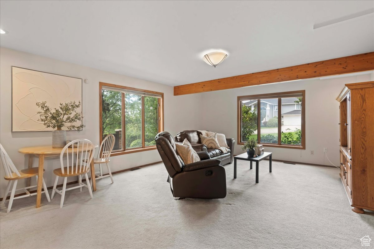 LITTLE WILLOW - Residential